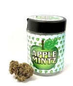 Apple Mintz
