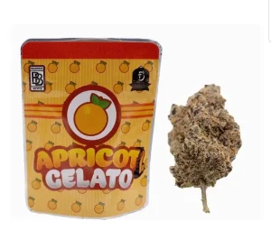 apricot gelato strain