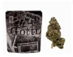Gotti weed strain