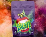 gush mints strain