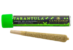 Green Tarantula
