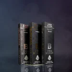 Blinkers Disposable Vape Pens