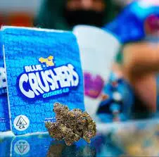 Blue Crushers Gushers strain